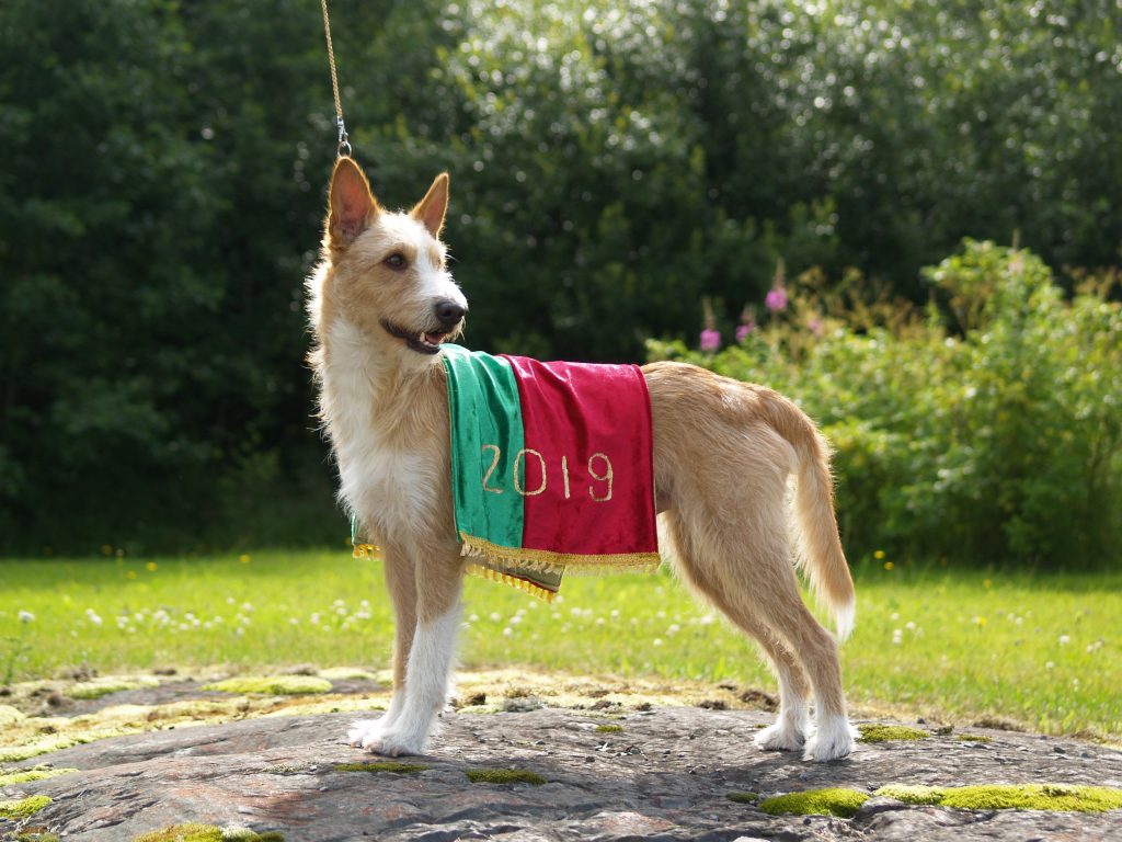 07/19 Alexandra's Heritage Esmagador ©: Marjo Nousiainen